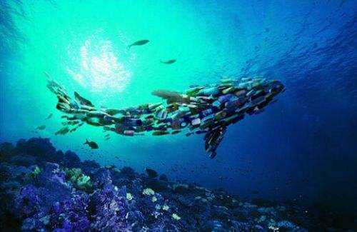 深圳廢水檢測機構(gòu)