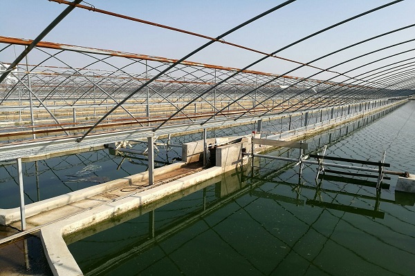 漁業(yè)養(yǎng)殖水質檢測 漁業(yè)養(yǎng)殖水質檢測